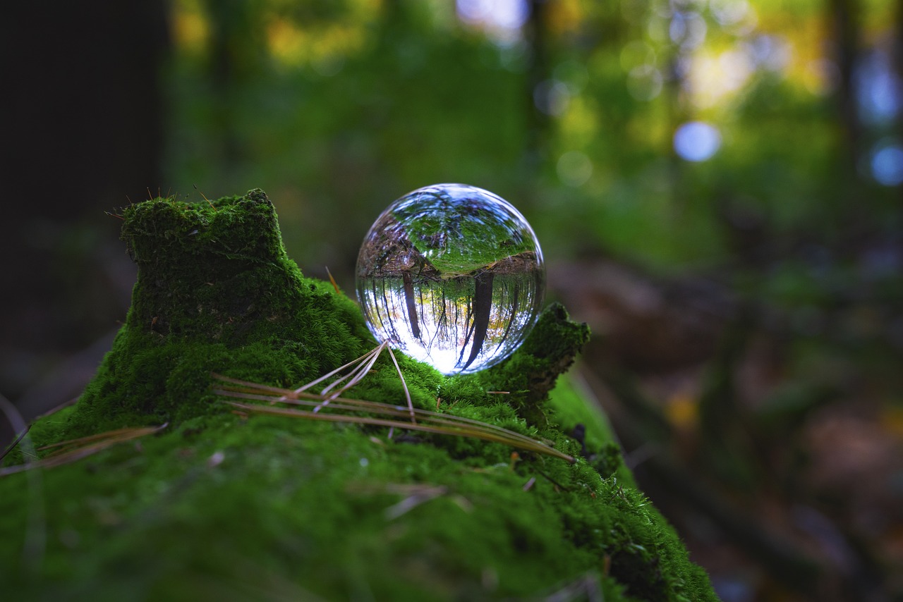 Eco-Friendly Burials: Reducing Death's Environmental Impact